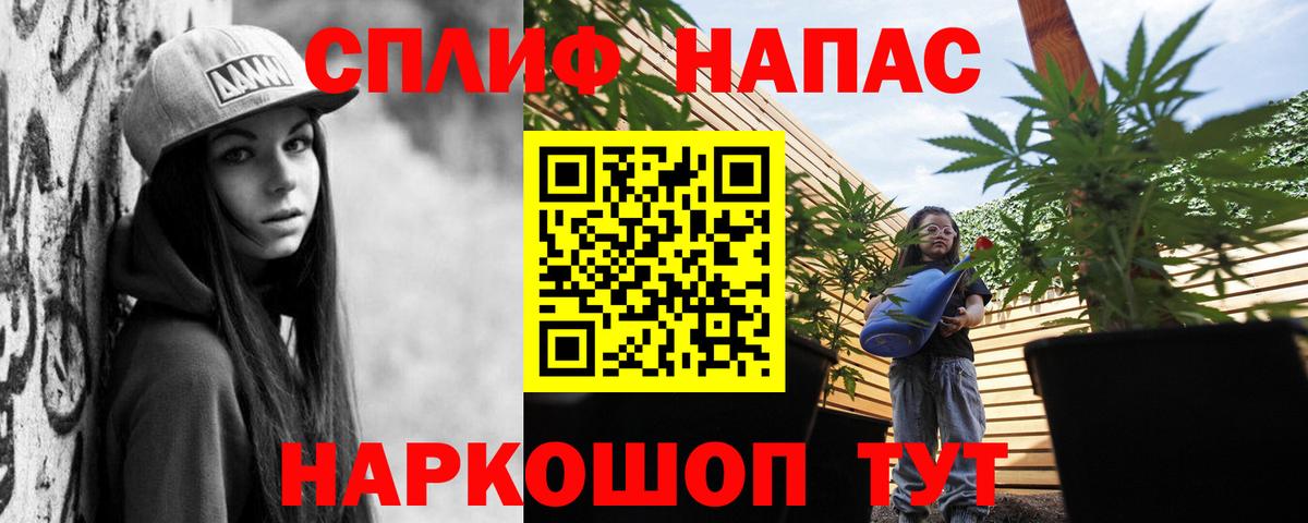 Конопля MAZAR  Вход с VPN  МАРИХУАНА VHQ  Бошки марихуана планчик  Аргун 